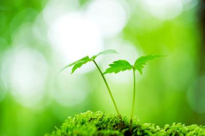 龍生 (47) 大宮 萬天堂 / 出張性感マッサージ