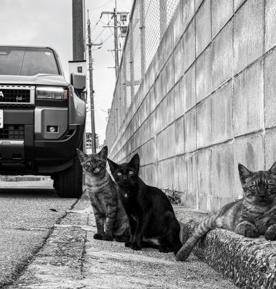 哲也 (51) 福岡 萬天堂 / 出張性感マッサージ