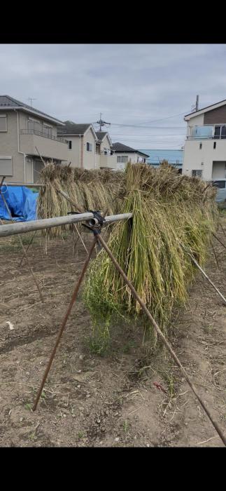 優作 (40) 東京 萬天堂 / 出張性感マッサージ