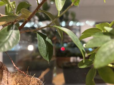 ゆーじん (32) 横浜 萬天堂 / 出張性感マッサージ