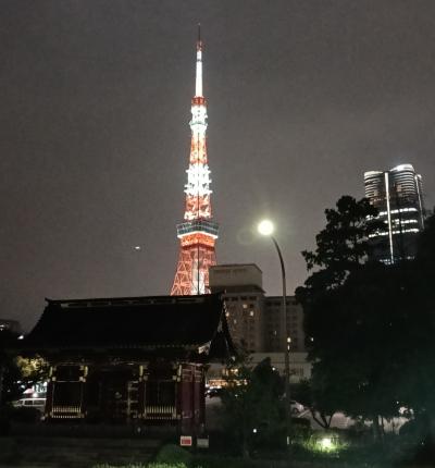 fumiya (46) 鹿児島 萬天堂 / 出張性感マッサージ