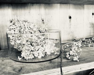 賢人 (32) 大宮 萬天堂 / 出張性感マッサージ