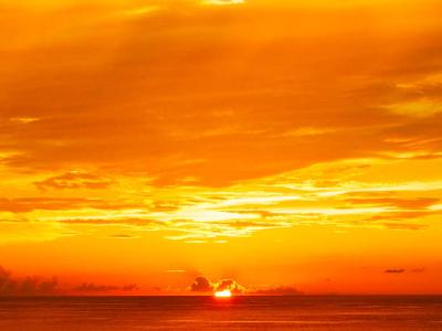 トキ (54) 大阪 萬天堂 / 出張性感マッサージ