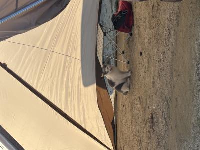 レイン (29) 大阪 萬天堂 / 出張性感マッサージ