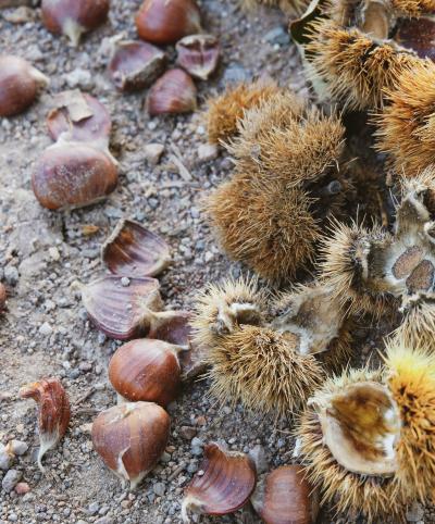 和正 (49) 名古屋 萬天堂 / 出張性感マッサージ