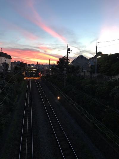 蔵人 (33) 東京 萬天堂 / 出張性感マッサージ