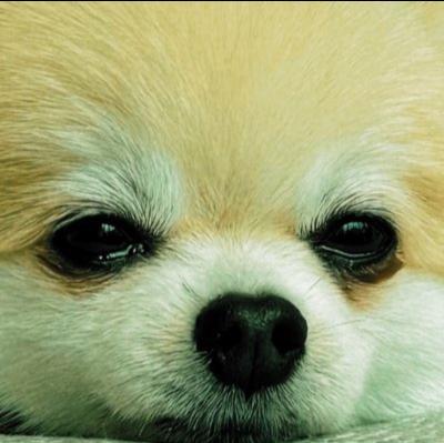 桓騎 (45) 名古屋 萬天堂 / 出張性感マッサージ