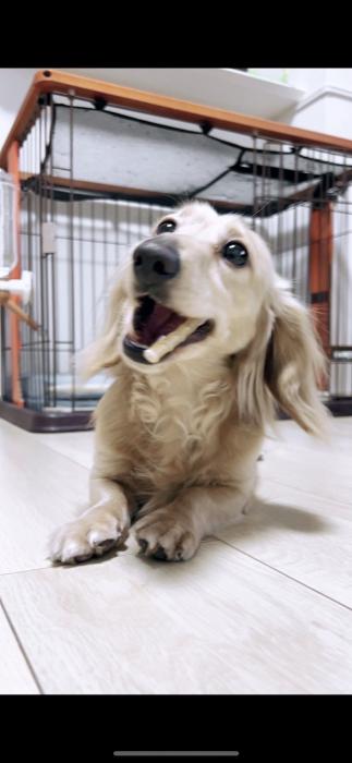 風羽 (34) 京都 萬天堂 / 出張性感マッサージ