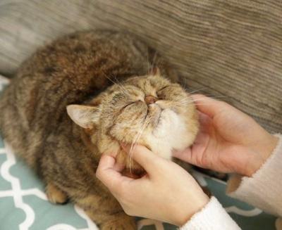 MIYABI (40) 信州 萬天堂 / 出張性感マッサージ