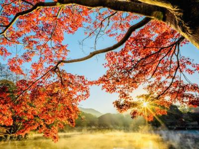 椎名 (52) 東京 萬天堂 / 出張性感マッサージ