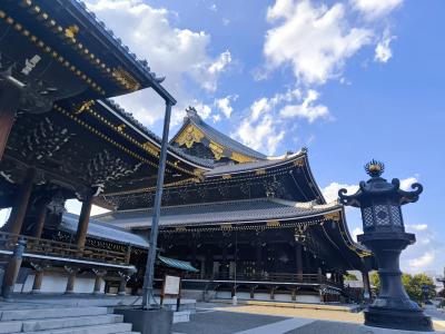 恭介 (48) 京都 萬天堂 / 出張性感マッサージ