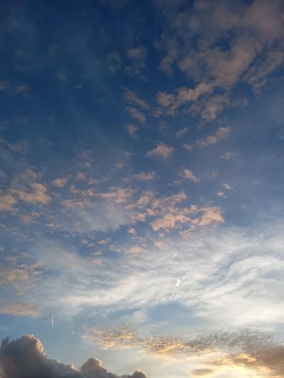 堂馬 (49) 熊本 萬天堂 / 出張性感マッサージ