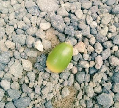 KOUKI (42) 仙台 萬天堂 / 出張性感マッサージ