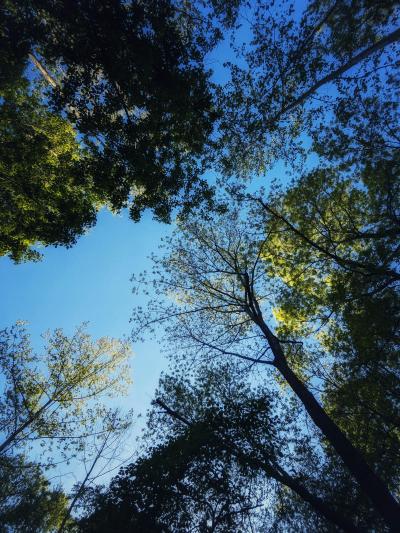 和正 (49) 名古屋 萬天堂 / 出張性感マッサージ