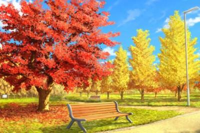 つかさ (31) 京都 萬天堂 / 出張性感マッサージ