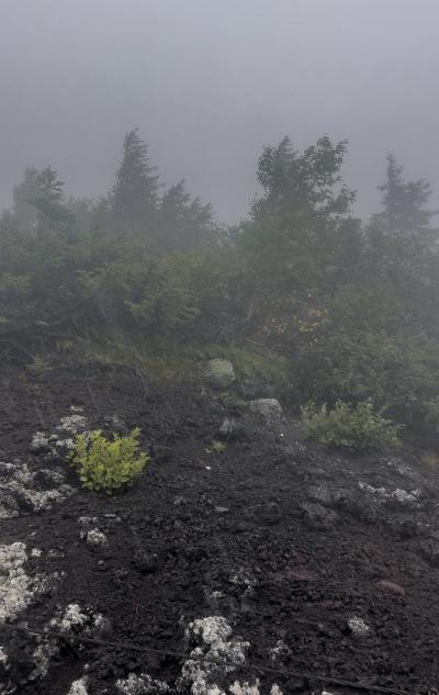 亜呂 (49) 水戸 萬天堂 / 出張性感マッサージ