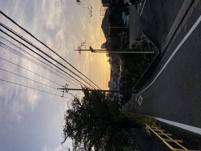 たつのり (37) 東京 萬天堂 / 出張性感マッサージ