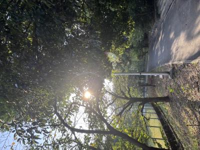 レイン (29) 大阪 萬天堂 / 出張性感マッサージ