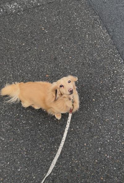 風羽 (34) 京都 萬天堂 / 出張性感マッサージ