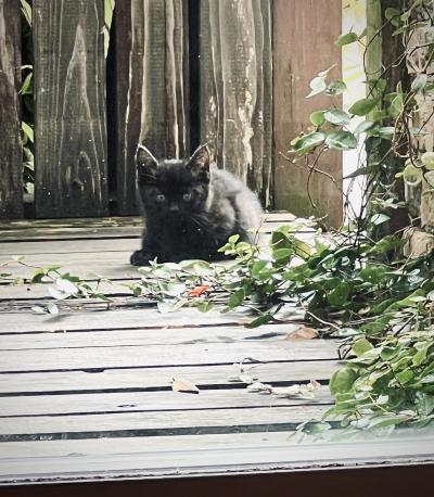 和正 (49) 名古屋 萬天堂 / 出張性感マッサージ