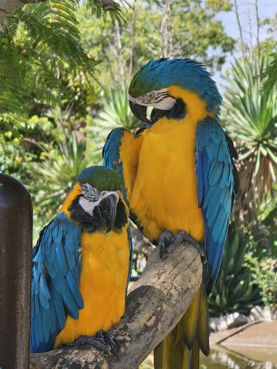 れんと (29) 大阪 萬天堂 / 出張性感マッサージ