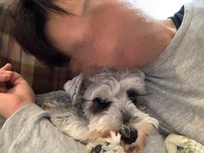 シュナ (42) 名古屋 萬天堂 / 出張性感マッサージ