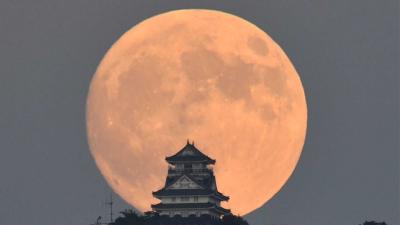 ごう (49) 岐阜 萬天堂 / 出張性感マッサージ