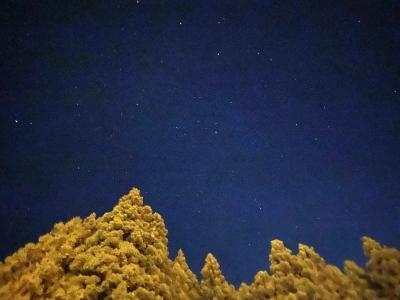 東城 (32) 秋田 萬天堂 / 出張性感マッサージ