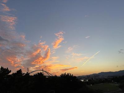 トキ (54) 大阪 萬天堂 / 出張性感マッサージ