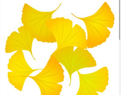 まどか (50) 大阪 萬天堂 / 出張性感マッサージ