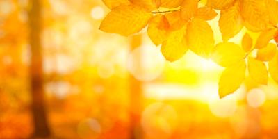 獠 (54) 大宮 萬天堂 / 出張性感マッサージ