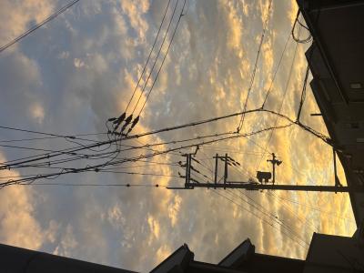 レイン (29) 大阪 萬天堂 / 出張性感マッサージ