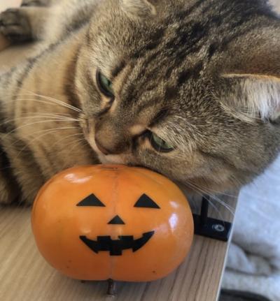 MIYABI (40) 信州 萬天堂 / 出張性感マッサージ