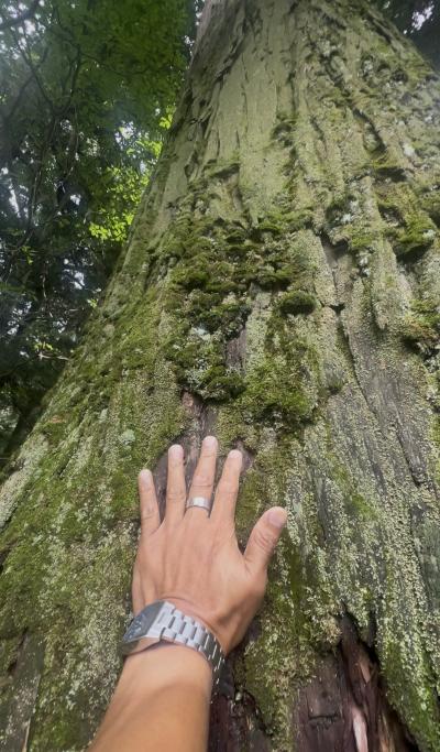 亜呂 (49) 水戸 萬天堂 / 出張性感マッサージ