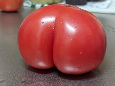 啓介 (30) 岐阜 萬天堂 / 出張性感マッサージ